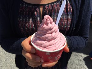 ハミルトンおすすめアイスククリーム