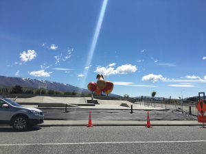 チェリーピッキングファーム