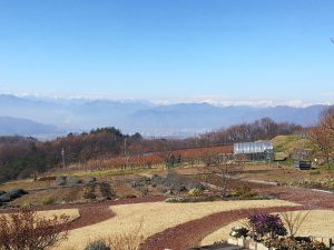 東御市おすすめワイナリー