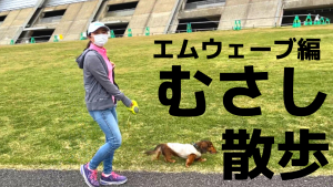 エムウェーブ散歩